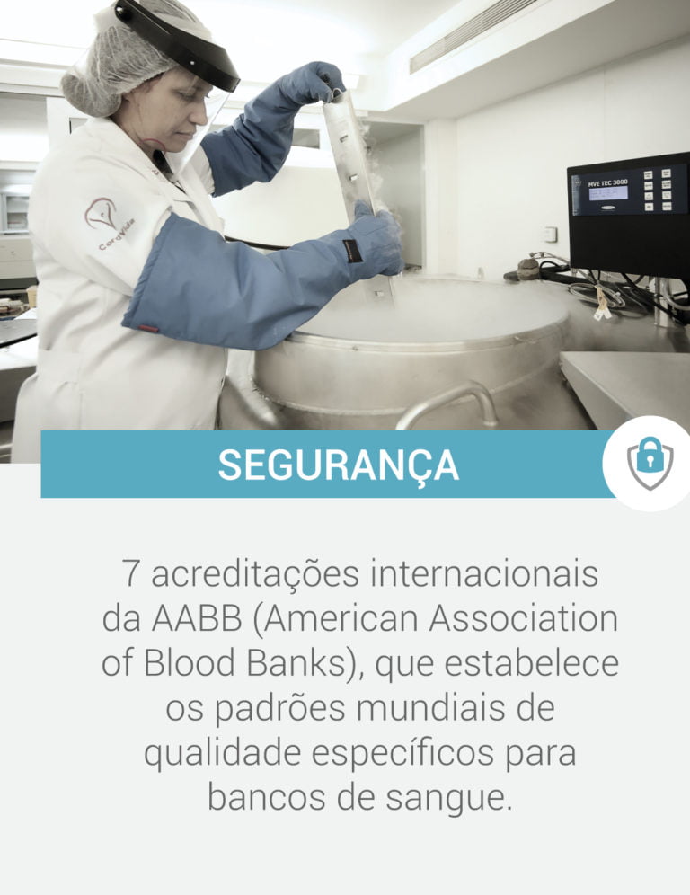 segurança